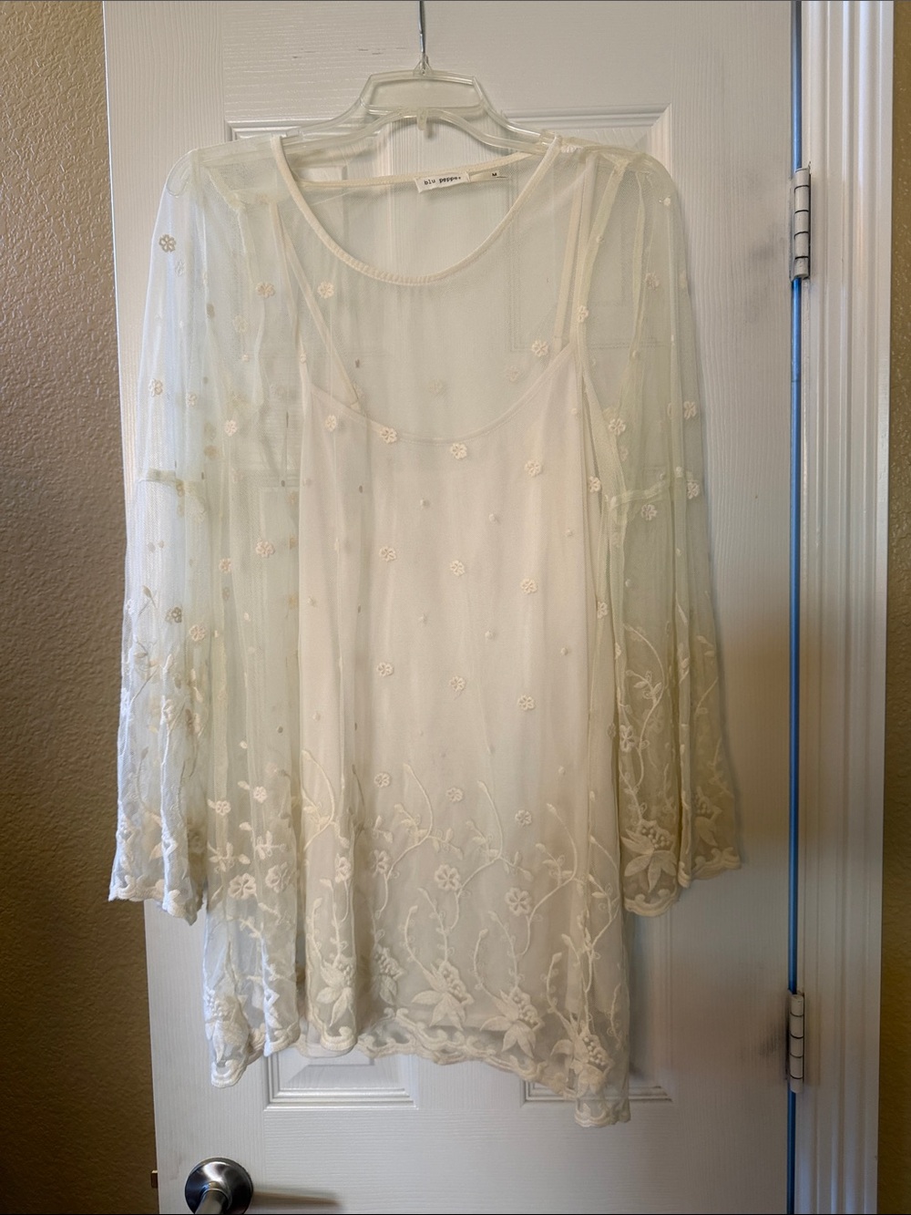 Blu Pepper Ivory Sheer Embroidered Tunic with Slip